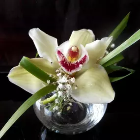 Green Interiors s.r.o.