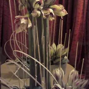 Green Interiors s.r.o.