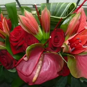 Green Interiors s.r.o.