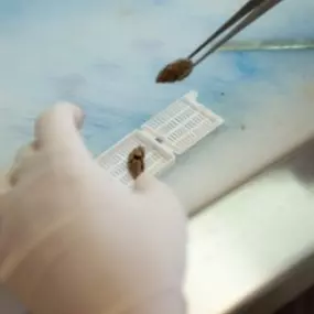 CGB LABORATOŘ a.s.