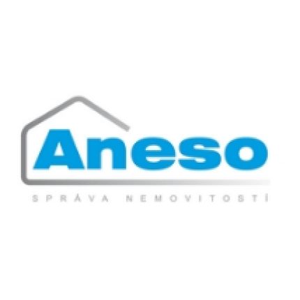 Logotyp från Aneso