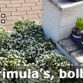 Jilderda's Bloemenboetiek