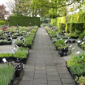 1300 soorten vaste planten