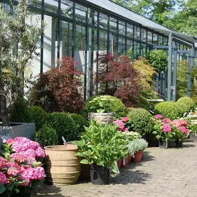 Tuincentrum Princenbosch