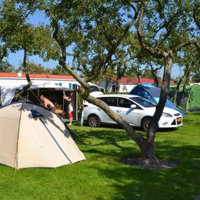 Camping In de Bongerd