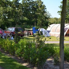 Camping In de Bongerd