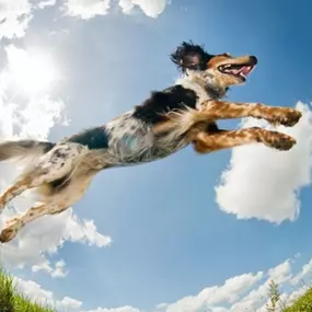 Akvaristika Uherské Hradiště - Pavel Mach