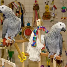 Akvaristika Uherské Hradiště - Pavel Mach