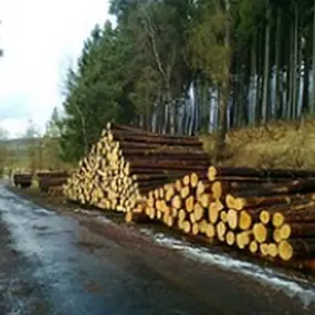 Bild von DŘEVĚNÉ KONSTRUKCE s.r.o.