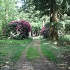 omgeving