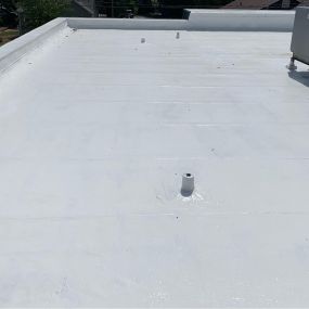 TPO Roofing System