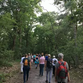 Wandelen in de Maashorst