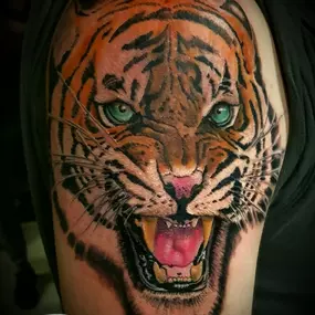 REALISTIC COLOUR TIJGER