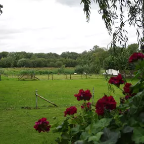 VakantieMeerlo Herenhuis Tuin