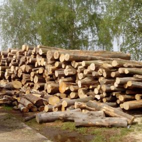 Bild von Prodej palivového dřeva – Jan Stuchlík Ing.