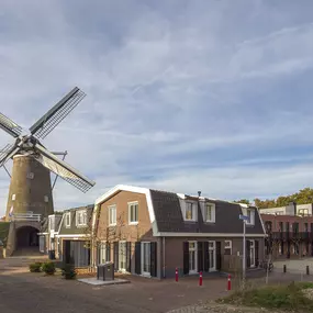 Amerongen, molen Maallust