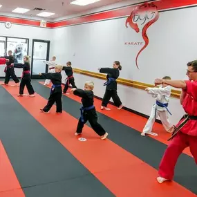 Learn self-defense, build confidence, and get in the best shape of your lives! Martial arts has tons of physical, mental and social benefits, suitable for anyone and everyone. Become part of something positive and learn new skills from trained martial arts professionals. It’s easy to get started—Enroll in martial arts classes today!