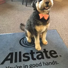 Bild von Kenowa Insurance: Allstate Insurance