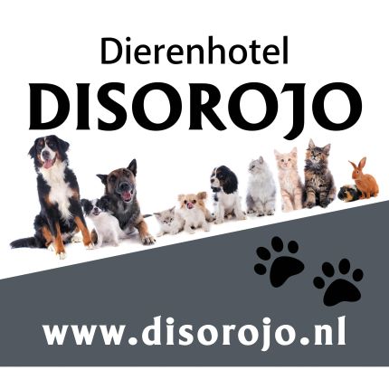 Logo from Dierenhotel Disorojo