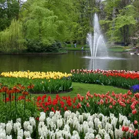 Birwa Tours