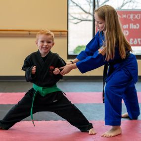 Dojo Karate is passionate about families participating in this great sport together. Each of our programs are uniquely designed to fit the specific needs of the students in that group. Our classes cater to all ages and skill levels. Remember, a family that kicks together, sticks together!