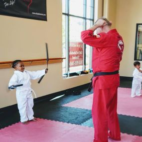 The Dojo Karate programs combine fitness and character development skills to create students that will succeed athletically and in all of their other endeavors.