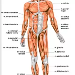 Bild von Fysiotherapie Totaal Oosterhout