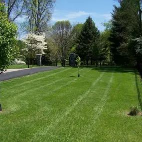 We are central Ohio's top choice for residential and commercial fence installation.  Whether you're looking for chain link fencing or wood privacy fencing, or you're interested in a low maintenance vinyl or aluminum fence, we can help!  Contact us today for details or to schedule a consultation!