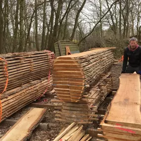 Stammen zagen en drogen