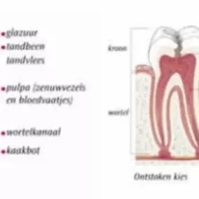 Smile Mondzorg