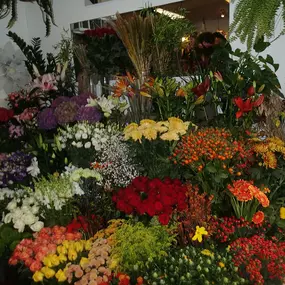 Bild von Acanthus Bloemen