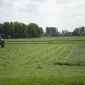 Noordenbos Leanbedriuw Koos