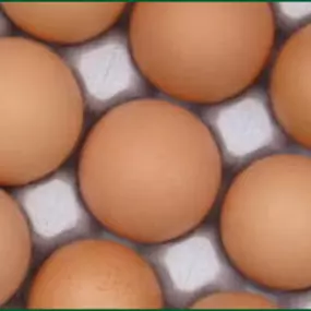 Eierhandel J J van Raai