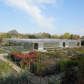 Tuincentrum Beuken A vd