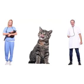 MVDR.J.SÝKORA-VETERINÁRNÍ LÉKAŘ