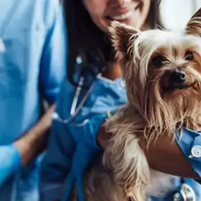 Bild von SÝKORA JOSEF MVDr. - veterinární lékař