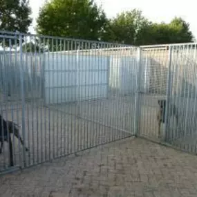 Hondenpension De Wijde Akker