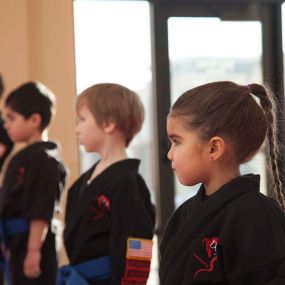 Martial arts classes benefit growing children far beyond the dojo and in many real-world scenarios. Our structured classes are meant to help develop coordination, physical fitness, mental strength, as well as gain valuable social skills. Through positive reinforcement, we can bring out the best in your children to help them succeed in life.