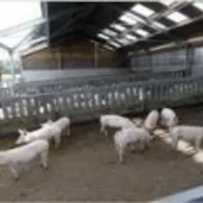 Bild von Geling Stalbouw Adviesgroep