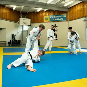 judo schiedam