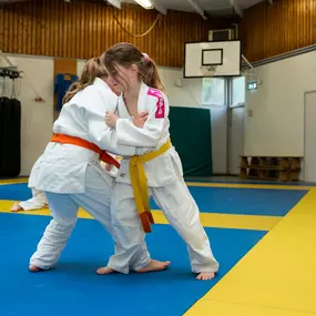 judo schiedam