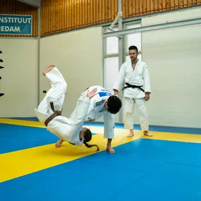 judo schiedam