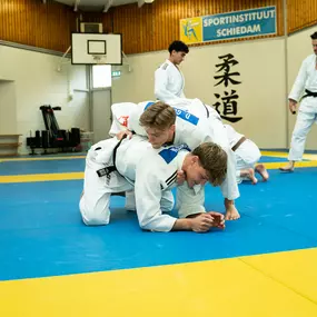 judo schiedam