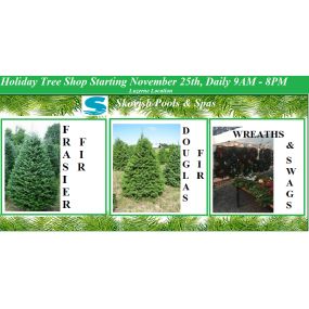2016 Holiday Tree Shopping