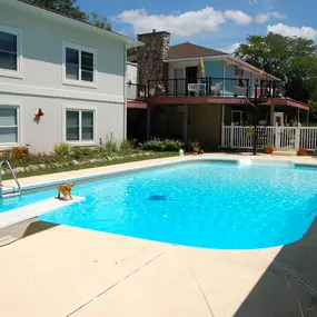 New Pool Construction with Diving Board