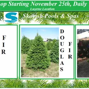 2016 Holiday Tree Shopping