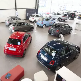 Bild von AutoVermeulen - Kia, Fiat (Expert) & Subaru Servicedealer