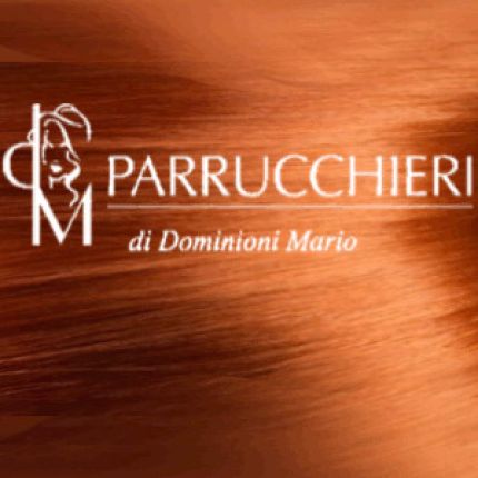 Logo from Dm Parrucchieri di Dominioni Mario