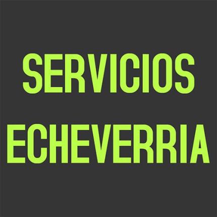 Logo van SERVICIOS ECHEVERRIA