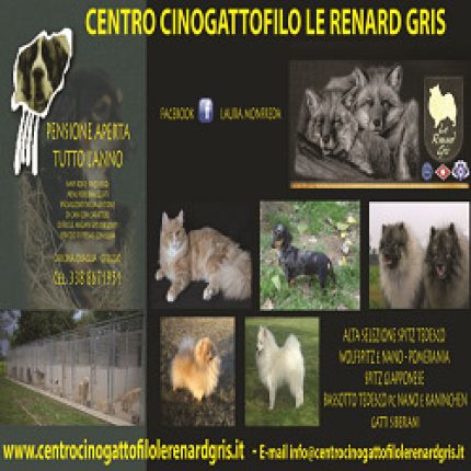 Logo van Centro Cinogattofilo Le Renard Gris